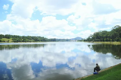 天鹿湖森林公园