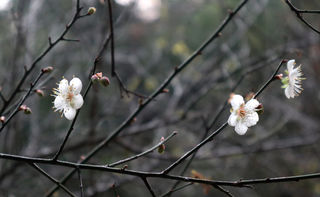 始兴、南雄自驾游