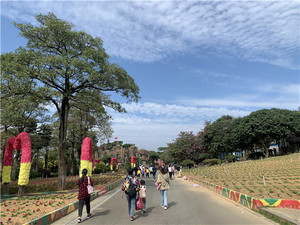 松山湖度假区游记图文-深圳东莞周边环境怡人适合野炊团建的农家乐