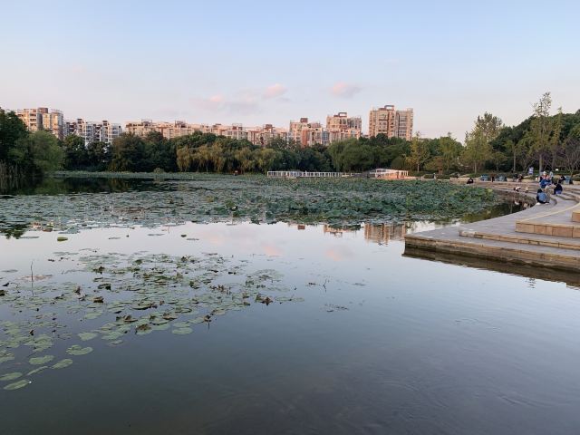 新江湾城公园旅行图片 3