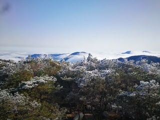 美哭|3月2日天岳幕阜山现大面积雾凇美景，晶莹剔透美极了......