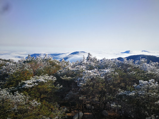 美哭|3月2日天岳幕阜山现大面积雾凇美景,晶莹剔透美极了......