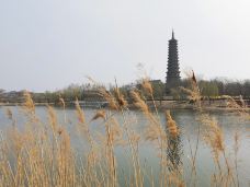 无棣古城旅游景区-无棣-ta****f