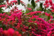 天鹿湖森林公园-广州-程途镜遇