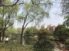 长风公园-上海-hw9586
