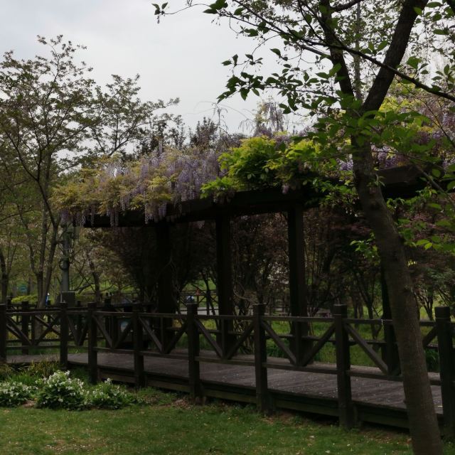 江浦公园旅行图片 1
