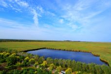 南大港湿地-黄骅