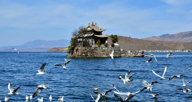 小普陀旅行图片 4