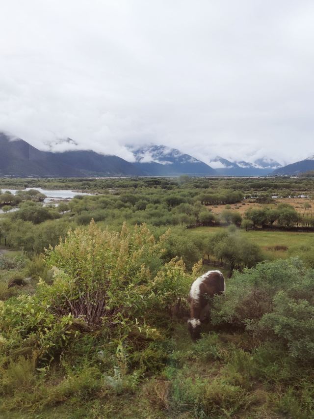苯日景区旅行图片 2