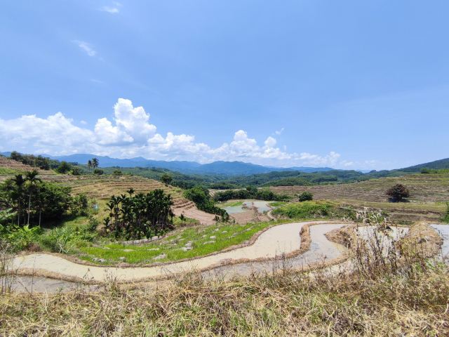 牙胡梯田景区旅行图片 3