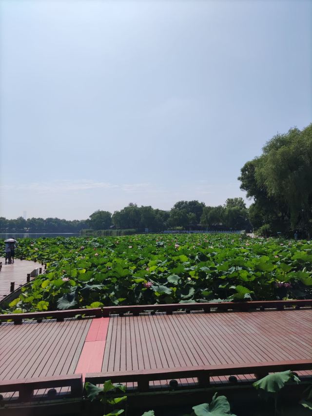西海旅行图片 3