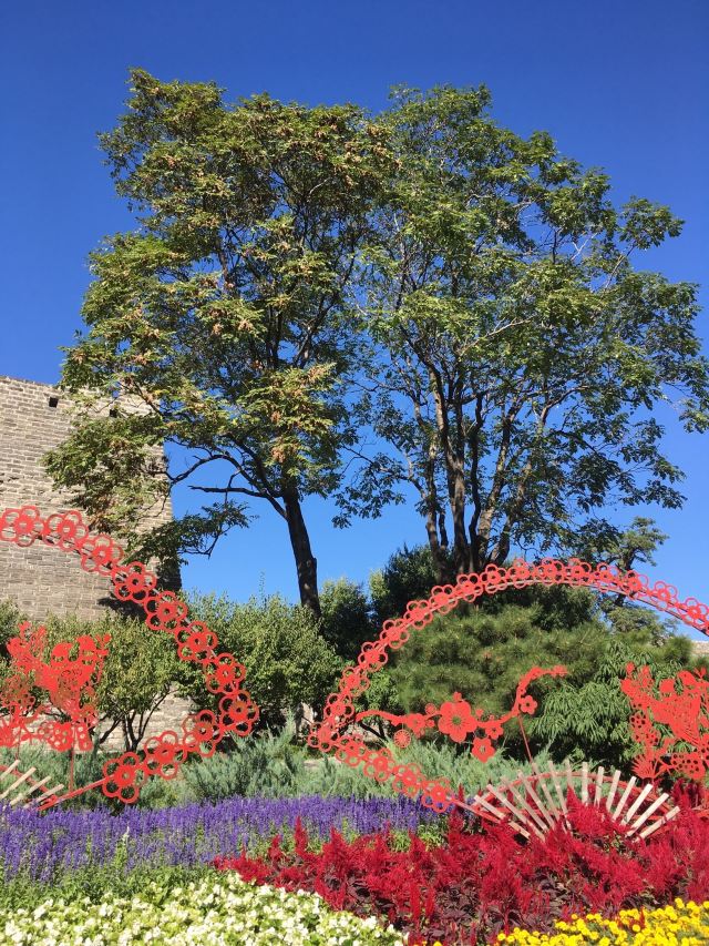 北京明城墙遗址公园旅行图片 1