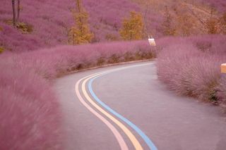 禾泉小镇米粒花世界一日游