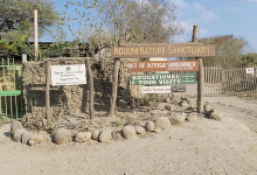 蒙巴萨野生动物园景点图片