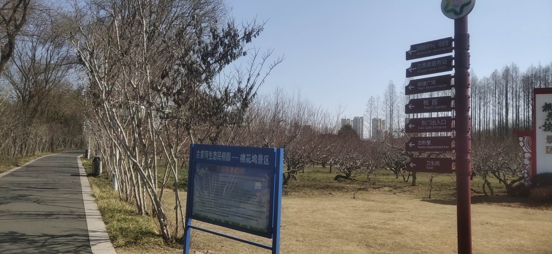 桃花坞景点图片