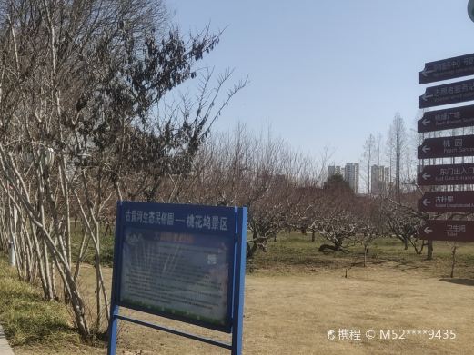 桃花坞