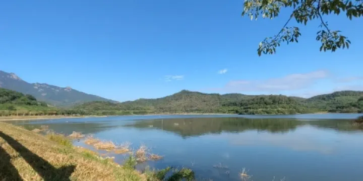 大嶺山泉水庫農莊