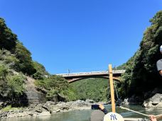 龟冈市-岱山香橙