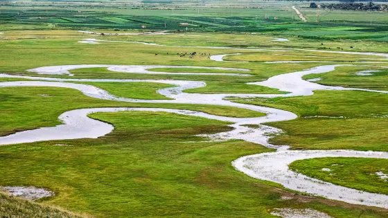 閃電河國家濕地公園