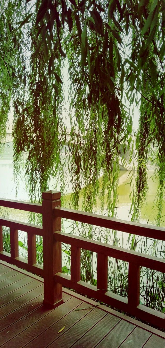 水上公园旅行图片 3