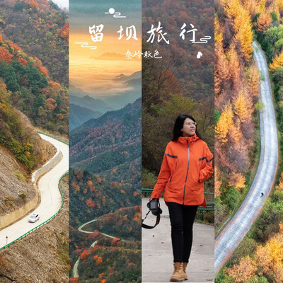 秦岭秘境，红叶盛宴，自驾陕南，寻找中国最美的秋色