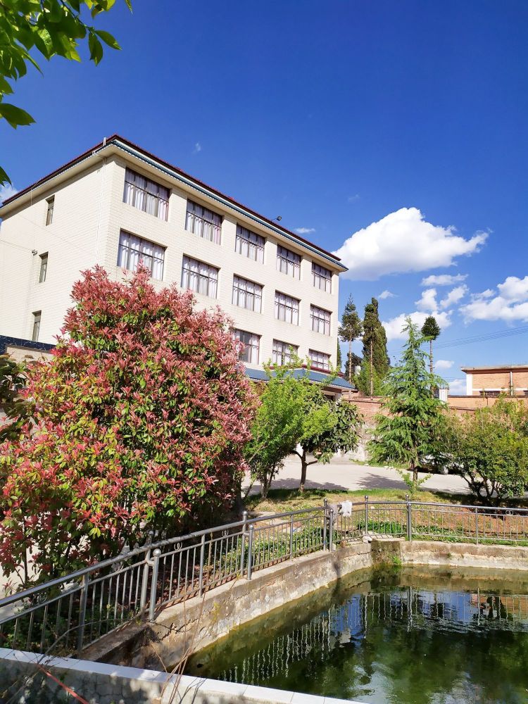 龙凤饭店(天摆线店)