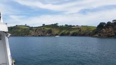 豪拉基湾-奥克兰-多多