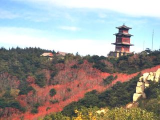 泰山之巅之行，美景美食让人难忘