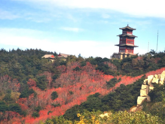 泰山之巅之行，美景美食让人难忘