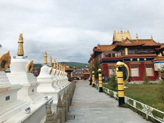 大金寺旅行图片 4