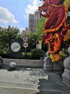 三林塘老街-上海-我的黑郁金香