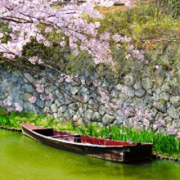 近江八幡市图片