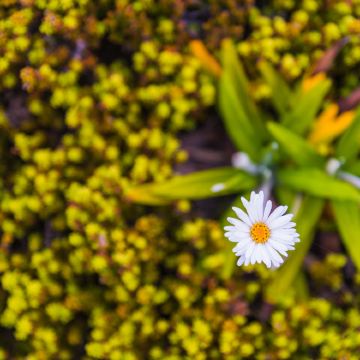 六盘水6日5晚私家团