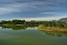 龙泉湖湿地-石家庄