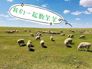 呼伦贝尔草原旅行如何拼包车攻略