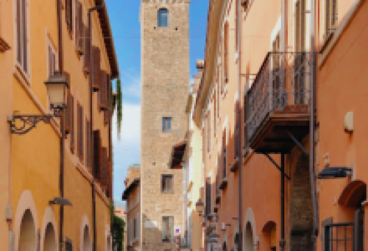 Torre Barbarasa景点图片