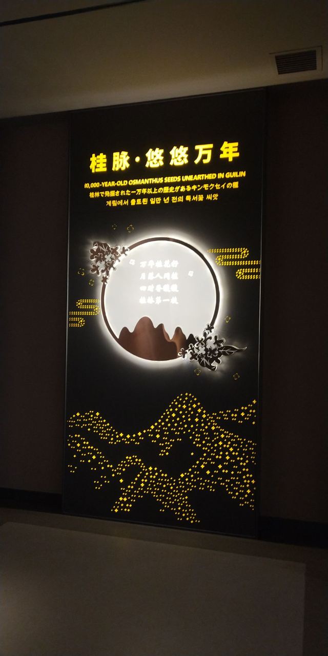 桂花公社景区旅行图片 4