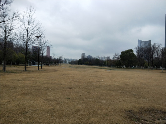 清扬公园，博物院旁休闲绿地