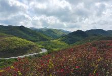浏阳河景点图片