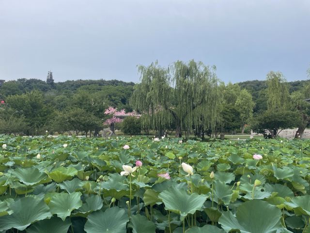 水磨沟风景区旅行图片 2