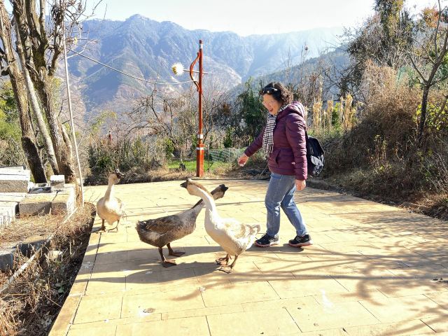 新山梯田旅行图片 11
