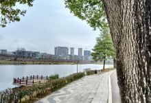 东湖公园景点图片