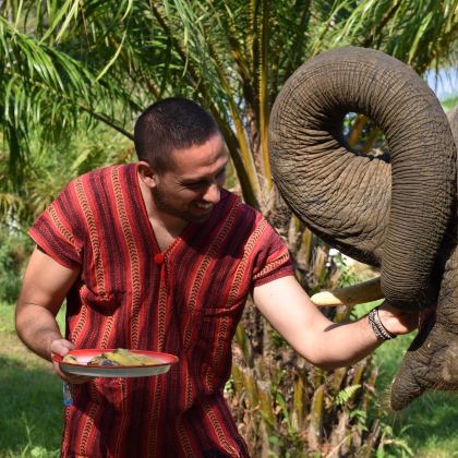 泰国普吉岛奈迪大象保护营一日游【泥浆spa|料理制作+接送】
