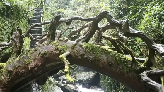 少華山國家森林公園-石門峽