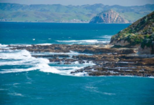 莫洛湾州立公园景点图片