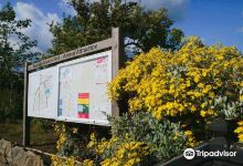 比克雷格斯景点图片