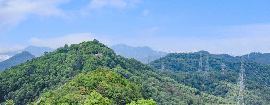 凤凰山