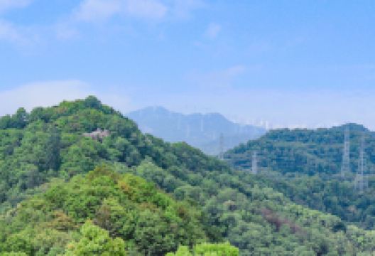 凤凰山景点图片