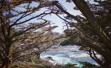 洛博斯角州立保护区-蒙特雷县-zhulei831230