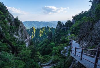 老君山景区一日游【十里画屏+含门票+保险＋含130索道】【云海，是老君山的一大奇观，而中鼎云海为老君山云海之首。】